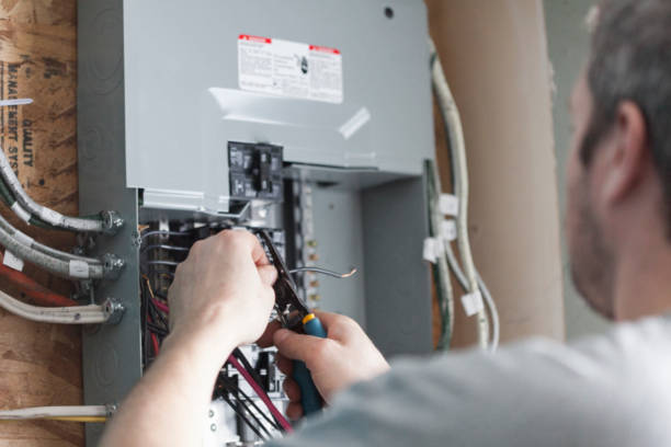 Best Electrical Panel Upgrades  in Chandler, TX